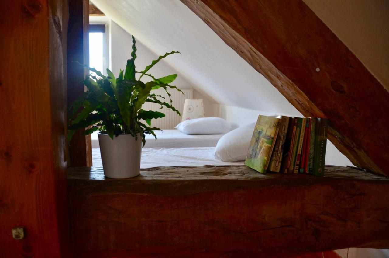 Le Pipapo Appartement Saint-Martin-de-Bavel Buitenkant foto